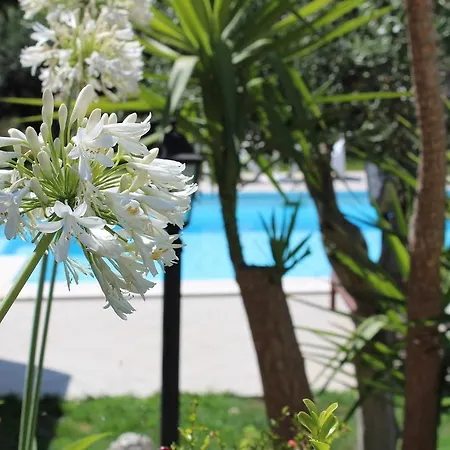 Bed & Breakfast Orchidea Luxury